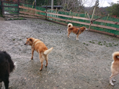 f:id:roukenhome-ann:20190204213252j:plain f:id:roukenhome-ann:20190204213252j:plain
