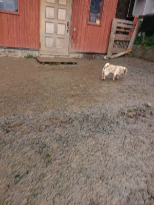 f:id:roukenhome-ann:20190204213300j:plain f:id:roukenhome-ann:20190204213300j:plain