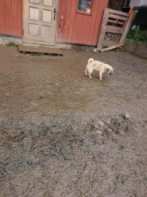 f:id:roukenhome-ann:20190204213332j:plain f:id:roukenhome-ann:20190204213332j:plain