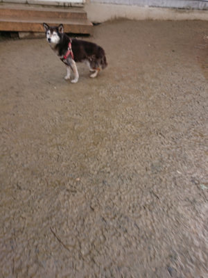 f:id:roukenhome-ann:20190204213337j:plain f:id:roukenhome-ann:20190204213337j:plain