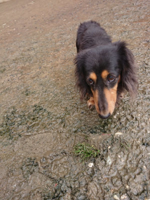 f:id:roukenhome-ann:20190204213401j:plain f:id:roukenhome-ann:20190204213401j:plain