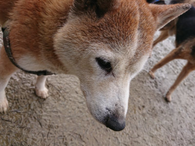 f:id:roukenhome-ann:20190204213529j:plain f:id:roukenhome-ann:20190204213529j:plain