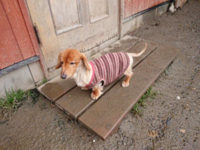 f:id:roukenhome-ann:20190204213548j:plain f:id:roukenhome-ann:20190204213548j:plain