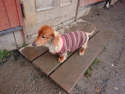 f:id:roukenhome-ann:20190204213636j:plain f:id:roukenhome-ann:20190204213636j:plain