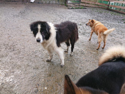 f:id:roukenhome-ann:20190204214022j:plain f:id:roukenhome-ann:20190204214022j:plain