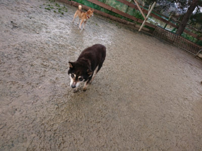 f:id:roukenhome-ann:20190204214028j:plain f:id:roukenhome-ann:20190204214028j:plain