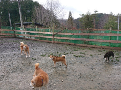 f:id:roukenhome-ann:20190204214217j:plain f:id:roukenhome-ann:20190204214217j:plain