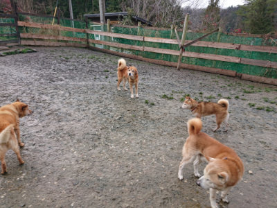 f:id:roukenhome-ann:20190204214222j:plain f:id:roukenhome-ann:20190204214222j:plain