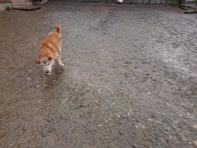 f:id:roukenhome-ann:20190204214229j:plain f:id:roukenhome-ann:20190204214229j:plain