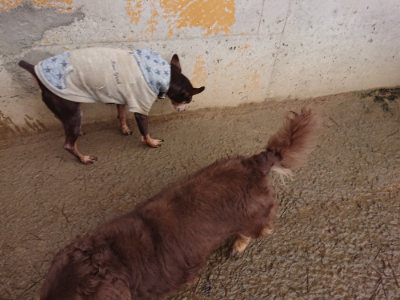 f:id:roukenhome-ann:20190204214235j:plain f:id:roukenhome-ann:20190204214235j:plain