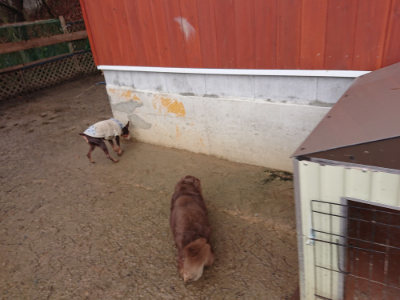 f:id:roukenhome-ann:20190204214324j:plain f:id:roukenhome-ann:20190204214324j:plain