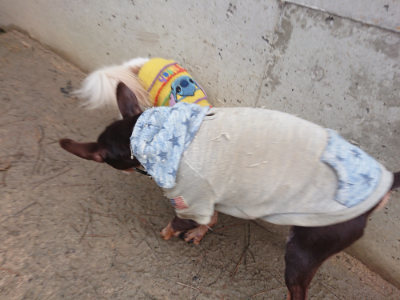 f:id:roukenhome-ann:20190204220429j:plain f:id:roukenhome-ann:20190204220429j:plain