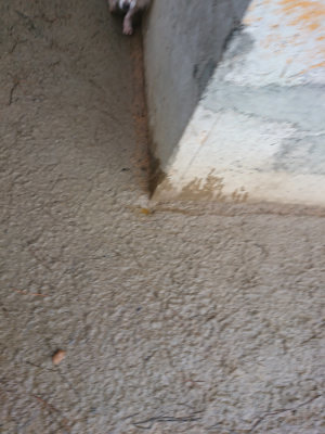 f:id:roukenhome-ann:20190204220436j:plain f:id:roukenhome-ann:20190204220436j:plain