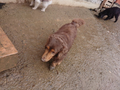 f:id:roukenhome-ann:20190204220536j:plain f:id:roukenhome-ann:20190204220536j:plain