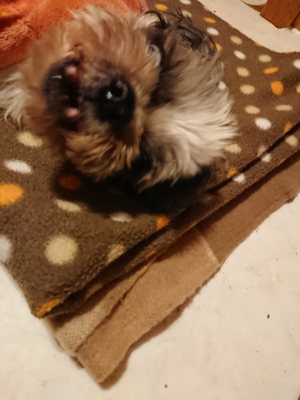 f:id:roukenhome-ann:20190204220602j:plain f:id:roukenhome-ann:20190204220602j:plain