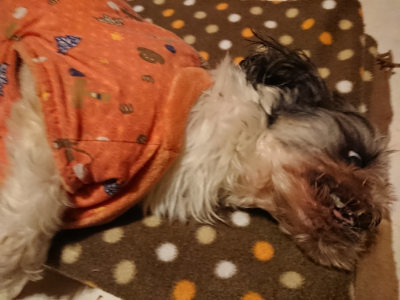 f:id:roukenhome-ann:20190204220607j:plain f:id:roukenhome-ann:20190204220607j:plain