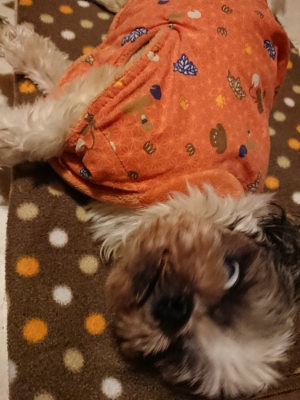 f:id:roukenhome-ann:20190204220613j:plain f:id:roukenhome-ann:20190204220613j:plain