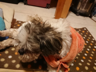 f:id:roukenhome-ann:20190204220618j:plain f:id:roukenhome-ann:20190204220618j:plain