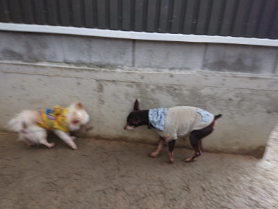 f:id:roukenhome-ann:20190204220624j:plain f:id:roukenhome-ann:20190204220624j:plain
