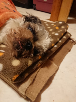 f:id:roukenhome-ann:20190204221100j:plain f:id:roukenhome-ann:20190204221100j:plain
