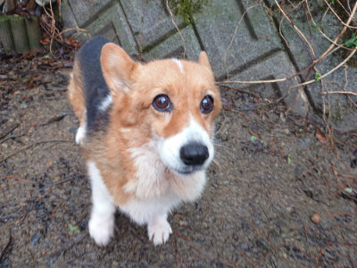 f:id:roukenhome-ann:20190204221106j:plain f:id:roukenhome-ann:20190204221106j:plain