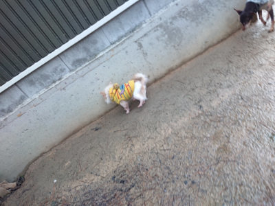 f:id:roukenhome-ann:20190204221137j:plain f:id:roukenhome-ann:20190204221137j:plain