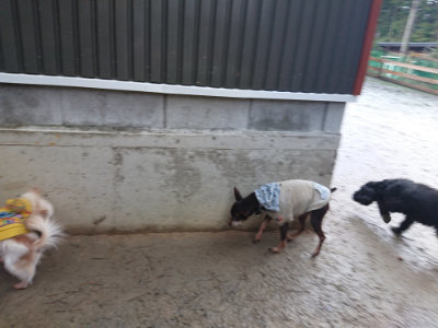 f:id:roukenhome-ann:20190204221142j:plain f:id:roukenhome-ann:20190204221142j:plain