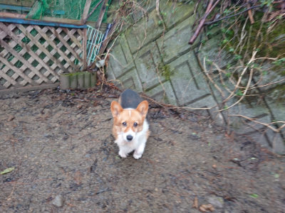 f:id:roukenhome-ann:20190204221221j:plain f:id:roukenhome-ann:20190204221221j:plain
