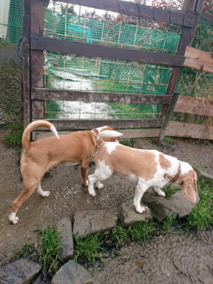 f:id:roukenhome-ann:20190204221228j:plain f:id:roukenhome-ann:20190204221228j:plain