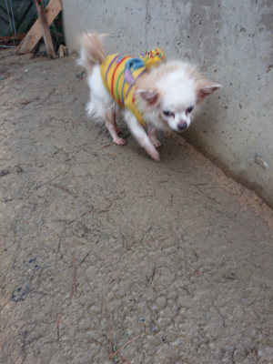f:id:roukenhome-ann:20190204221300j:plain f:id:roukenhome-ann:20190204221300j:plain