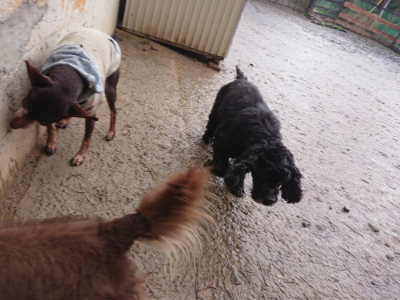 f:id:roukenhome-ann:20190204221325j:plain f:id:roukenhome-ann:20190204221325j:plain