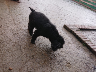 f:id:roukenhome-ann:20190204221332j:plain f:id:roukenhome-ann:20190204221332j:plain