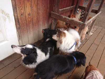 f:id:roukenhome-ann:20190204221344j:plain f:id:roukenhome-ann:20190204221344j:plain