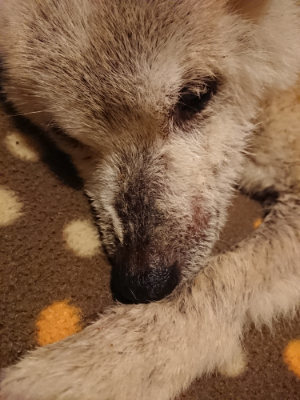 f:id:roukenhome-ann:20190204221349j:plain f:id:roukenhome-ann:20190204221349j:plain