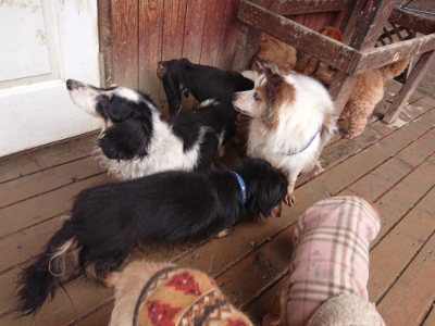 f:id:roukenhome-ann:20190204221400j:plain f:id:roukenhome-ann:20190204221400j:plain