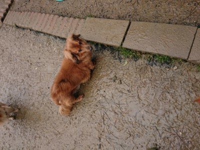 f:id:roukenhome-ann:20190204222109j:plain f:id:roukenhome-ann:20190204222109j:plain
