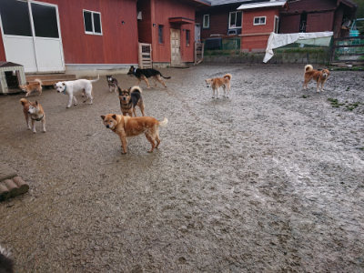 f:id:roukenhome-ann:20190204222118j:plain f:id:roukenhome-ann:20190204222118j:plain