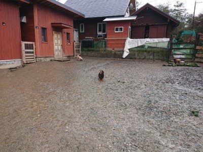 f:id:roukenhome-ann:20190204222212j:plain f:id:roukenhome-ann:20190204222212j:plain