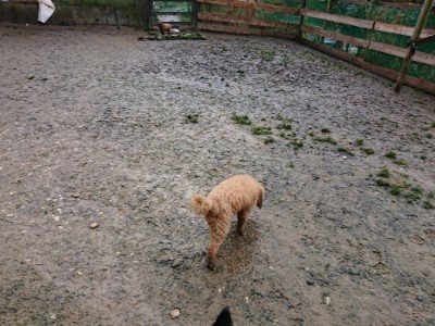 f:id:roukenhome-ann:20190204222217j:plain f:id:roukenhome-ann:20190204222217j:plain