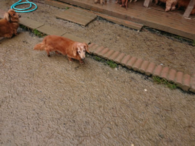 f:id:roukenhome-ann:20190204222301j:plain f:id:roukenhome-ann:20190204222301j:plain