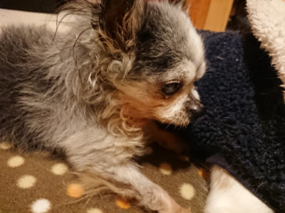 f:id:roukenhome-ann:20190204222306j:plain f:id:roukenhome-ann:20190204222306j:plain