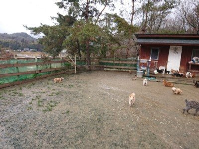 f:id:roukenhome-ann:20190204222314j:plain f:id:roukenhome-ann:20190204222314j:plain