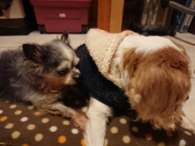 f:id:roukenhome-ann:20190204222342j:plain f:id:roukenhome-ann:20190204222342j:plain