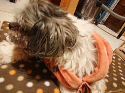 f:id:roukenhome-ann:20190205052348j:plain f:id:roukenhome-ann:20190205052348j:plain