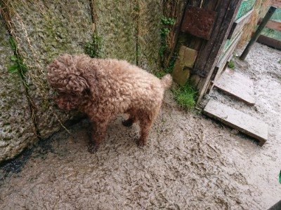 f:id:roukenhome-ann:20190205052402j:plain f:id:roukenhome-ann:20190205052402j:plain