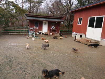f:id:roukenhome-ann:20190205052407j:plain f:id:roukenhome-ann:20190205052407j:plain