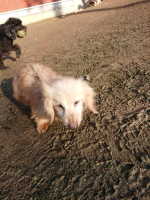f:id:roukenhome-ann:20190207084654j:plain