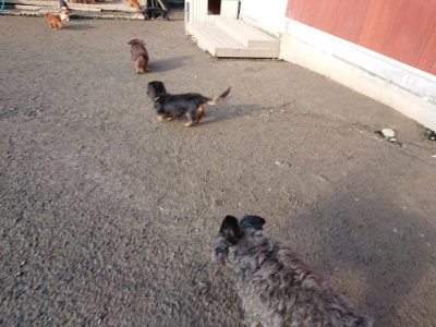 f:id:roukenhome-ann:20190207084700j:plain