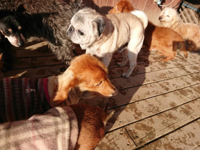f:id:roukenhome-ann:20190207084711j:plain