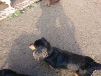f:id:roukenhome-ann:20190207084758j:plain
